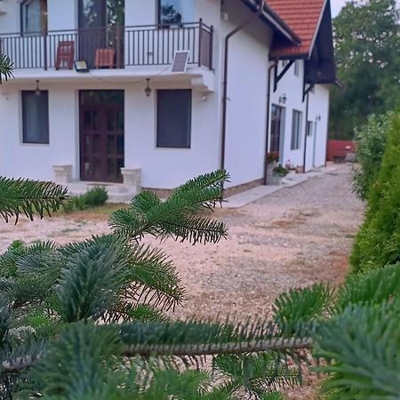 Pensiunea Cretisoara Câmpulung Exterior foto