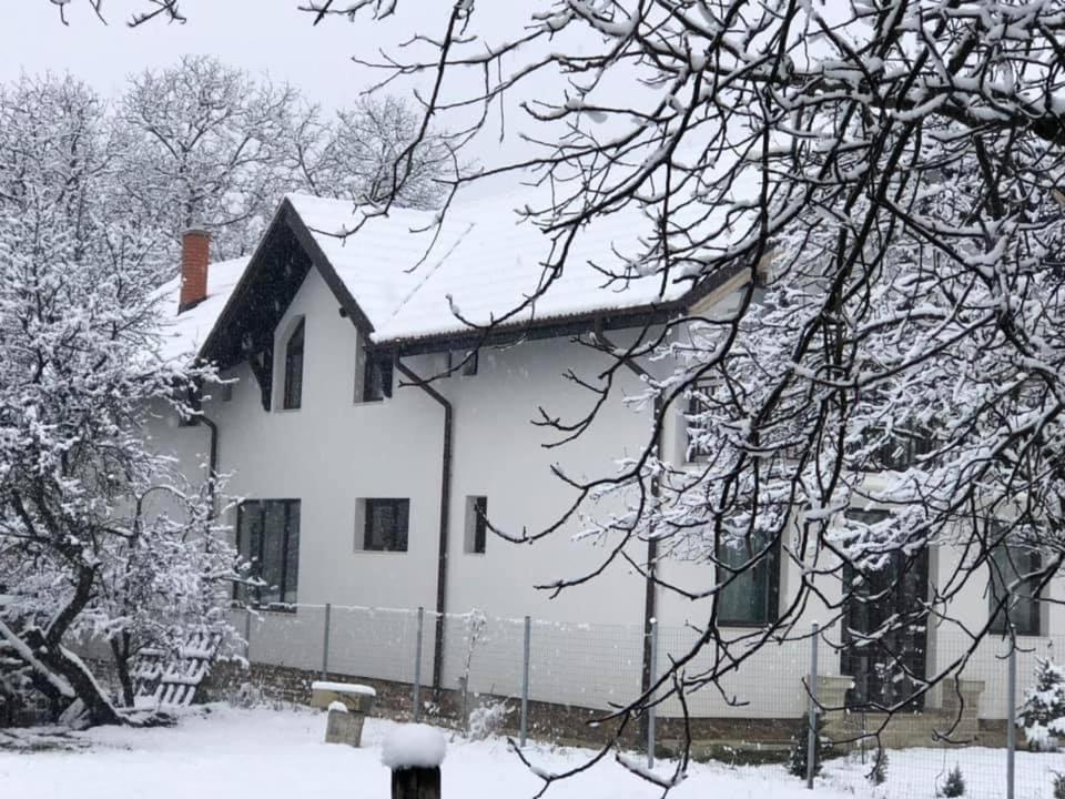 Pensiunea Cretisoara Câmpulung Exterior foto