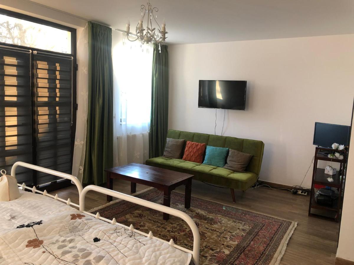Pensiunea Cretisoara Câmpulung Exterior foto