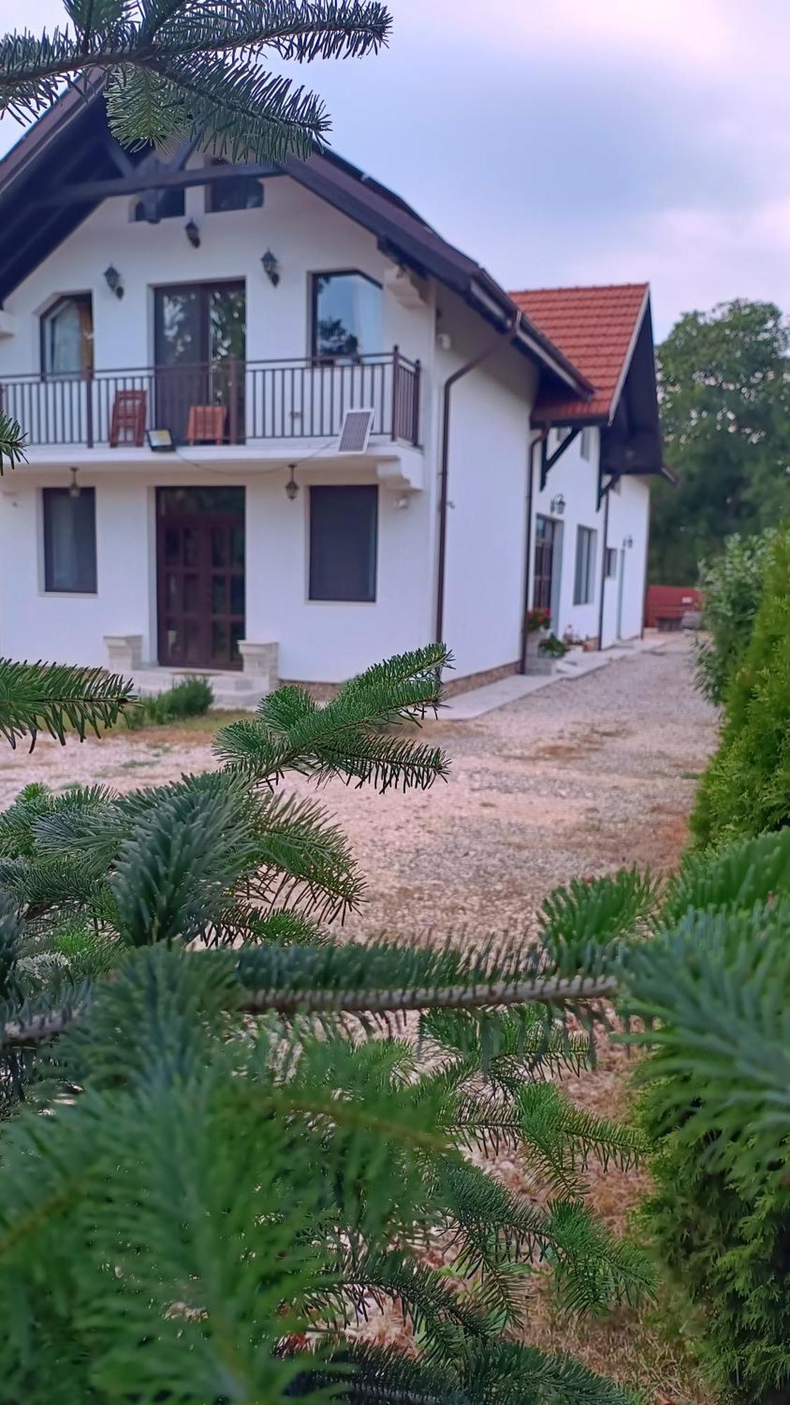 Pensiunea Cretisoara Câmpulung Exterior foto